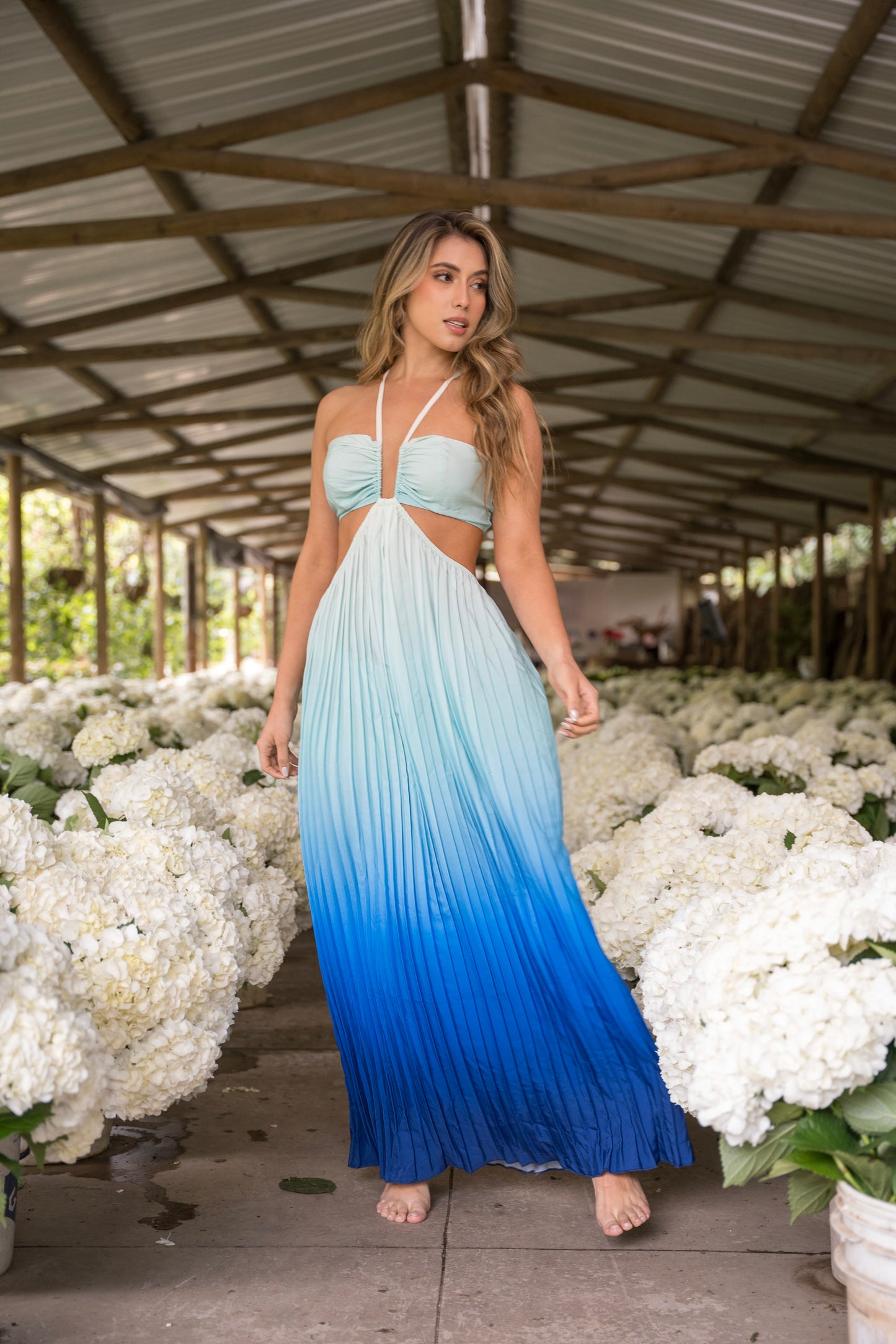 Vestido Ariel