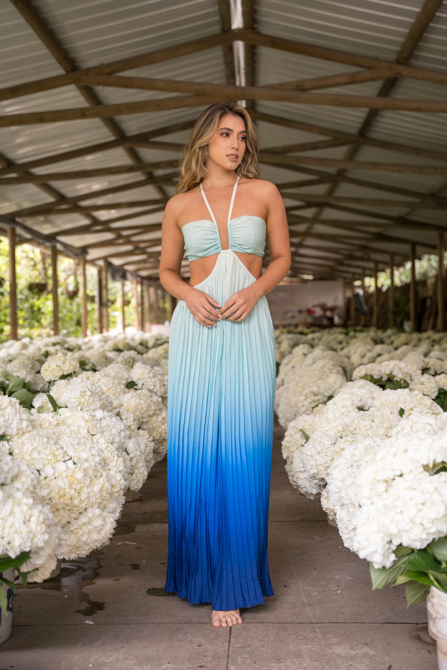 Vestido Ariel
